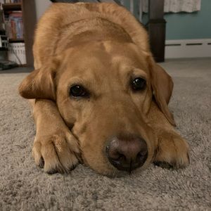 Meet your Posher, Courtney